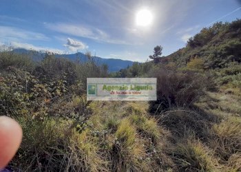 Foto 12 - Rustic località Alpicella
 
snc, Dolceacqua - photo 12