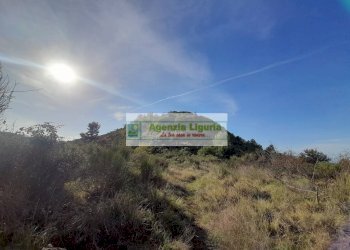 Foto 13 - Rustic località Alpicella
 
snc, Dolceacqua - photo 13