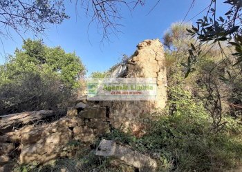 Foto 14 - Rustic località Alpicella
 
snc, Dolceacqua - photo 14