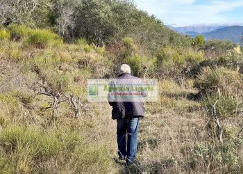 Foto 16 - Rustic località Alpicella
 
snc, Dolceacqua - photo 16