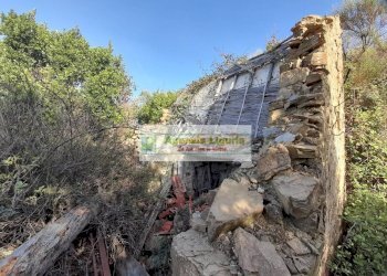 Foto 17 - Rustic località Alpicella
 
snc, Dolceacqua - photo 17