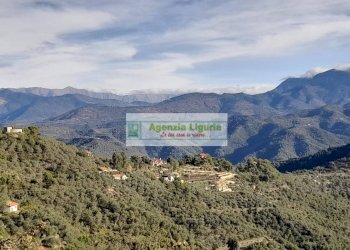 Foto 18 - Rustic località Alpicella
 
snc, Dolceacqua - photo 18