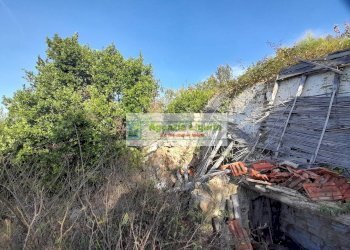 Foto 23 - Rustic località Alpicella
 
snc, Dolceacqua - photo 23