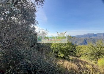 Foto 25 - Rustic località Alpicella
 
snc, Dolceacqua - photo 25