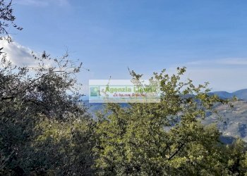 Foto 26 - Rustic località Alpicella
 
snc, Dolceacqua - photo 26