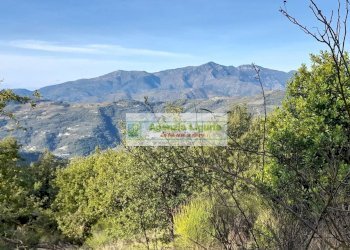 Foto 29 - Rustic località Alpicella
 
snc, Dolceacqua - photo 29