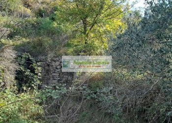 Foto 30 - Rustic località Alpicella
 
snc, Dolceacqua - photo 30