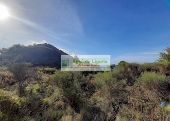 Foto 34 - Rustic località Alpicella
 
snc, Dolceacqua - photo 34