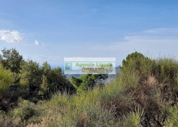 Foto 35 - Rustic località Alpicella
 
snc, Dolceacqua - photo 35