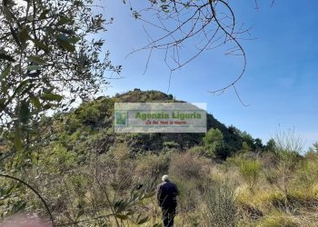 Foto 38 - Rustic località Alpicella
 
snc, Dolceacqua - photo 38