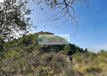 Foto 39 - Rustic località Alpicella
 
snc, Dolceacqua - photo 39