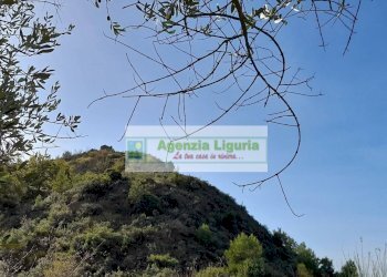 Foto 40 - Rustic località Alpicella
 
snc, Dolceacqua - photo 40