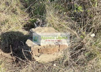 Foto 41 - Rustic località Alpicella
 
snc, Dolceacqua - photo 41