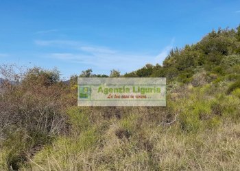 Foto 42 - Rustic località Alpicella
 
snc, Dolceacqua - photo 42