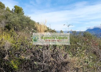 Foto 44 - Rustic località Alpicella
 
snc, Dolceacqua - photo 44