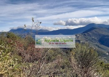 Foto 45 - Rustic località Alpicella
 
snc, Dolceacqua - photo 45