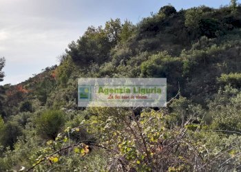 Foto 47 - Rustic località Alpicella
 
snc, Dolceacqua - photo 47