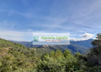 Foto 49 - Rustic località Alpicella
 
snc, Dolceacqua - photo 49