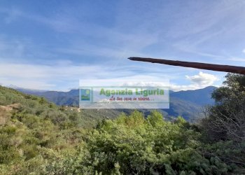 Foto 50 - Rustic località Alpicella
 
snc, Dolceacqua - photo 50