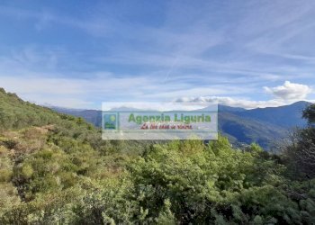 Foto 51 - Rustic località Alpicella
 
snc, Dolceacqua - photo 51