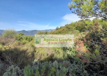 Foto 53 - Rustic località Alpicella
 
snc, Dolceacqua - photo 53