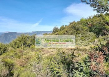 Foto 54 - Rustic località Alpicella
 
snc, Dolceacqua - photo 54