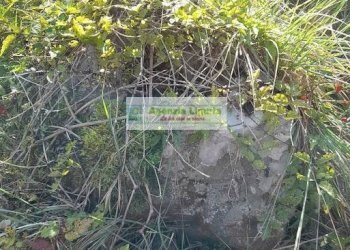 Foto 56 - Rustic località Alpicella
 
snc, Dolceacqua - photo 56