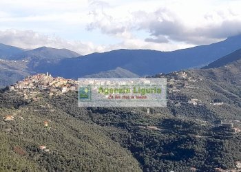 Foto 57 - Rustic località Alpicella
 
snc, Dolceacqua - photo 57