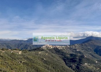 Foto 58 - Rustic località Alpicella
 
snc, Dolceacqua - photo 58