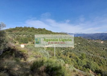 Foto 61 - Rustic località Alpicella
 
snc, Dolceacqua - photo 61