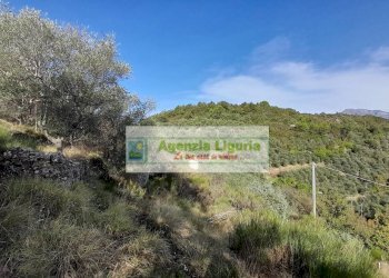 Foto 62 - Rustic località Alpicella
 
snc, Dolceacqua - photo 62