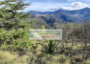 Foto 64 - Rustic località Alpicella
 
snc, Dolceacqua - photo 64