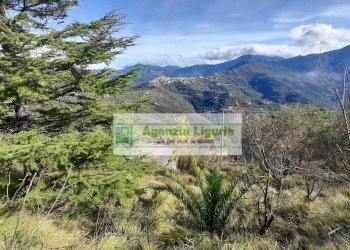 Foto 65 - Rustic località Alpicella
 
snc, Dolceacqua - photo 65