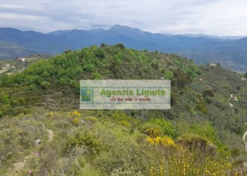 Foto 66 - Rustic località Alpicella
 
snc, Dolceacqua - photo 66