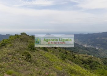 Foto 69 - Rustic località Alpicella
 
snc, Dolceacqua - photo 69