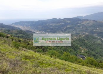 Foto 70 - Rustic località Alpicella
 
snc, Dolceacqua - photo 70