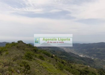 Foto 72 - Rustic località Alpicella
 
snc, Dolceacqua - photo 72