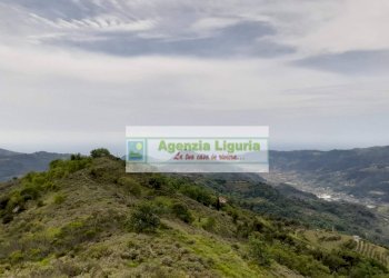 Foto 74 - Rustic località Alpicella
 
snc, Dolceacqua - photo 74