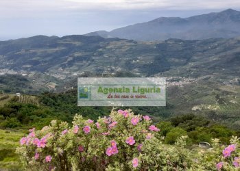 Foto 75 - Rustic località Alpicella
 
snc, Dolceacqua - photo 75