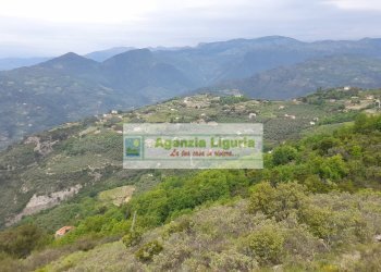 Foto 77 - Rustic località Alpicella
 
snc, Dolceacqua - photo 77