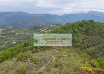 Foto 78 - Rustic località Alpicella
 
snc, Dolceacqua - photo 78