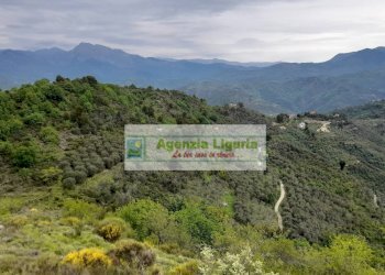 Foto 79 - Rustic località Alpicella
 
snc, Dolceacqua - photo 79