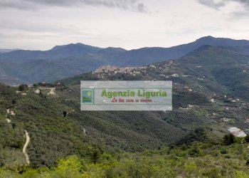 Foto 80 - Rustic località Alpicella
 
snc, Dolceacqua - photo 80