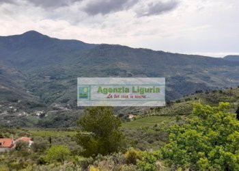 Foto 81 - Rustic località Alpicella
 
snc, Dolceacqua - photo 81