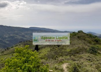 Foto 82 - Rustic località Alpicella
 
snc, Dolceacqua - photo 82
