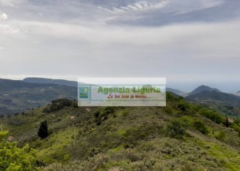 Foto 83 - Rustic località Alpicella
 
snc, Dolceacqua - photo 83