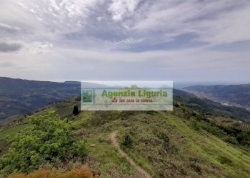 Foto 84 - Rustic località Alpicella
 
snc, Dolceacqua - photo 84