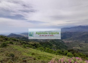 Foto 85 - Rustic località Alpicella
 
snc, Dolceacqua - photo 85