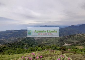 Foto 86 - Rustic località Alpicella
 
snc, Dolceacqua - photo 86