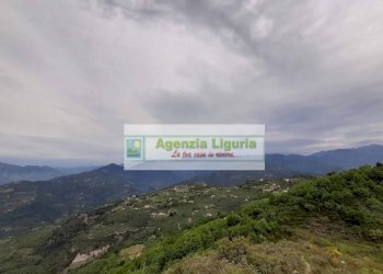 Foto 87 - Rustic località Alpicella
 
snc, Dolceacqua - photo 87